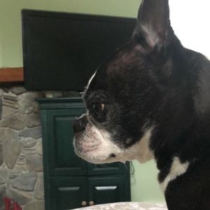 Meet your Posher, Amy